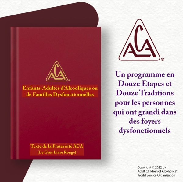 Enfants-Adultes d Alcooliques ou de Familles Dysfonctionnelles   French ACA Fellowship Text - Hardcover Hot on Sale - Image 3
