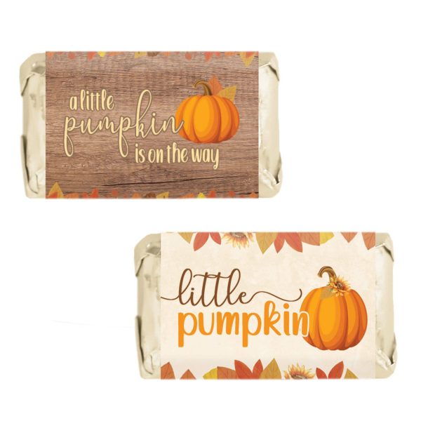 Little Pumpkin: Rustic Orange - Baby Shower - Mini Candy Bar Labels - 45 Stickers For Cheap