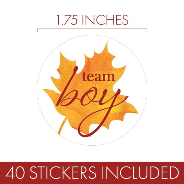 Fall Leaves: Gender Reveal Party - Baby Shower - Team Boy or Team Girl Stickers - 40 Stickers Online Hot Sale - Image 3