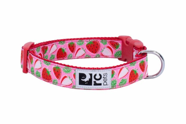 RC Pets Clip Collar for Dogs in Strawberries Pattern Online now - Image 3