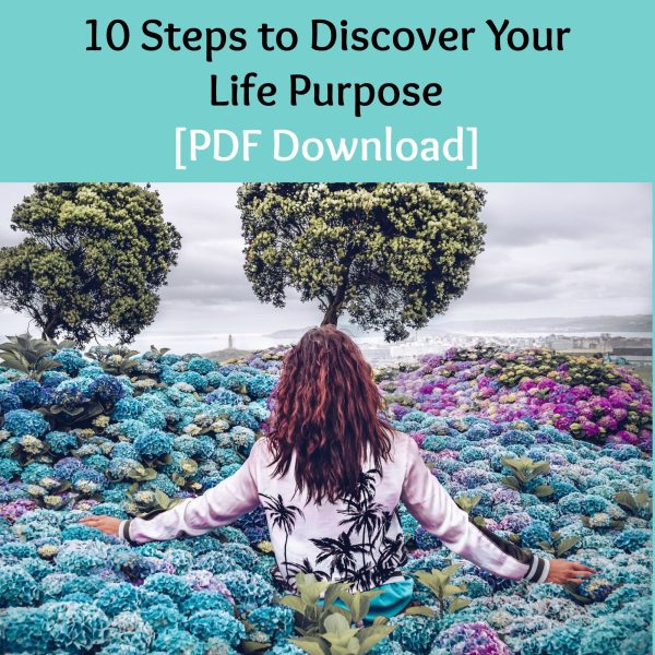 Life Purpose Affirmations: Gain Clarity, Inspiration, & Confidence to Live Your Life Purpose! (w  10 Hz Binaural Beats) on Sale - Image 2