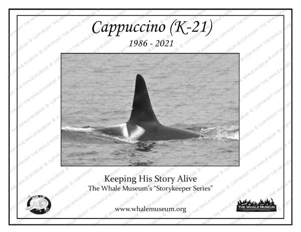 Cappuccino (K-21) Storykeeper For Discount